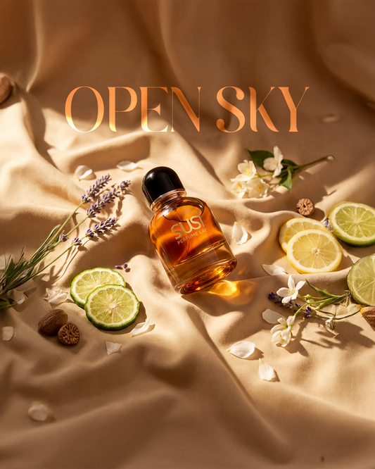 OPEN SKY